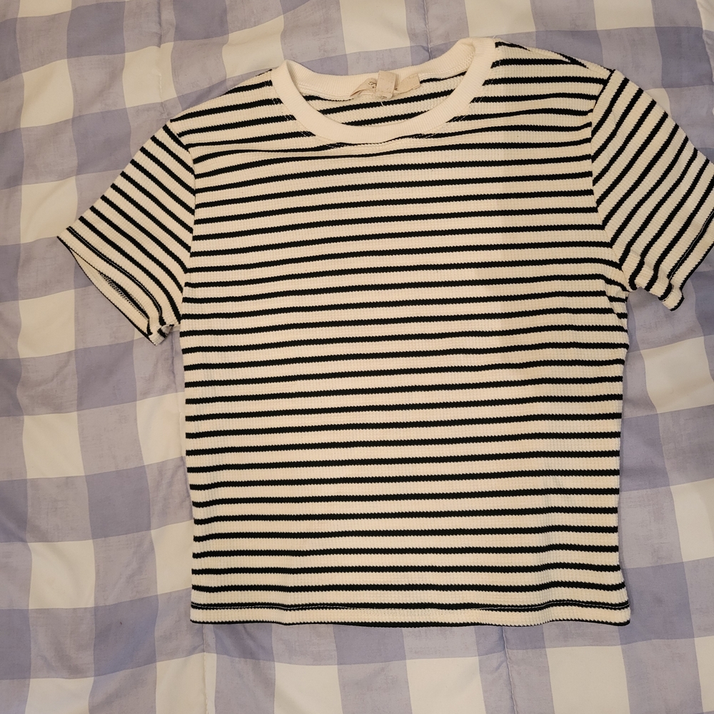 Striped Black and White Crop Top